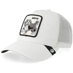 Goorin bros Bestie Trucker Dust
