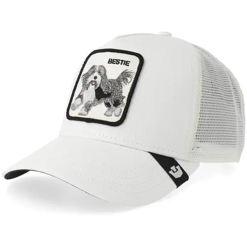 Goorin bros Bestie Trucker Dust