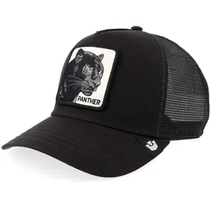 Goorin bros Panther Trucker Void