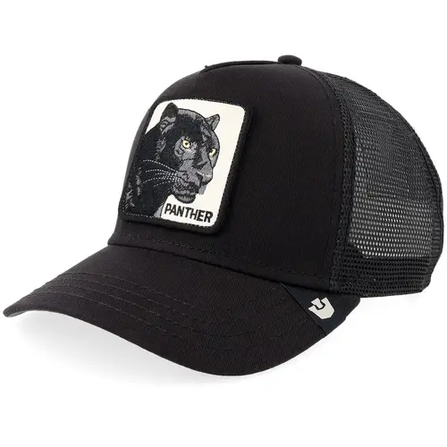 Goorin bros Panther Trucker Void