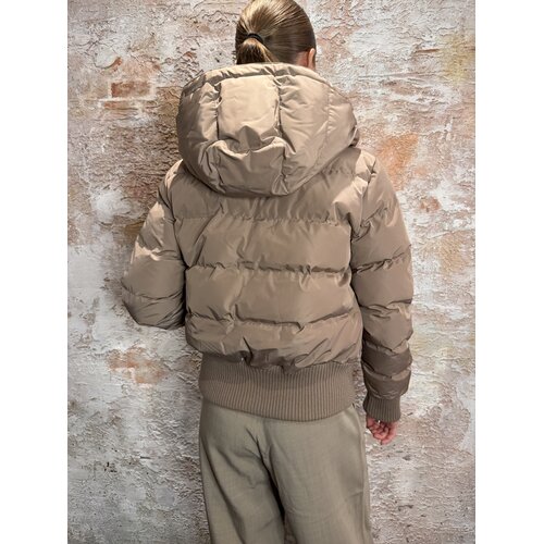 Airforce Tate Bomber Jacket Ginger Snap Airforce Tate Bomber Jacket Ginger Snap