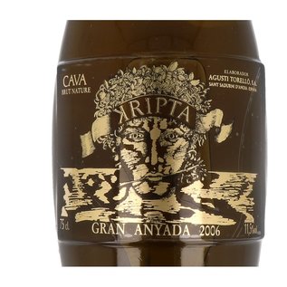 Agusti Torello Mata 2006 Cava Kripta Gran Anada