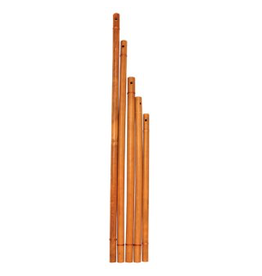 Boventoon Fluit Vietnam 50cm (in E)
