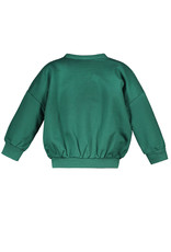 The New Chapter Sweater seeds of hope forest green