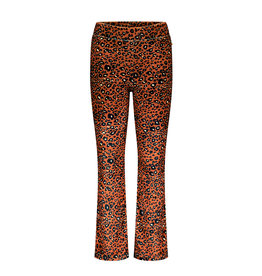 Moodstreet - flared broek panter velours