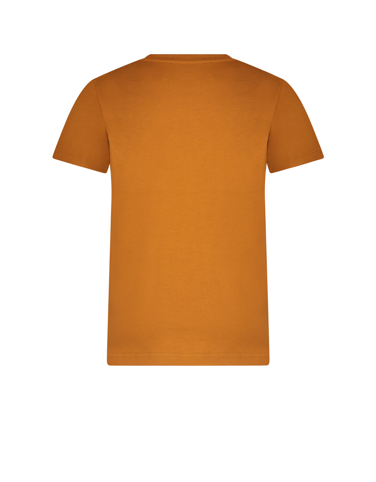 Moodstreet t-shirt roestkleur met print
