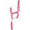 Harry's Horse Halsterset Initial