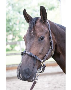 Harry's Horse Nose net