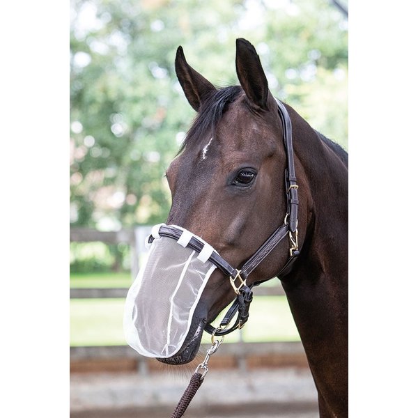 Harry's Horse Nose net