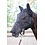 Harry's Horse Mesh fly mask Flyshield with nose protection