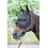 Harry's Horse Fly shield halter