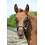 Bucas Foal Halter Dublin