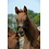 Bucas Foal Halter Dublin