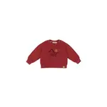 Dusq Sweater american fleece Clay Red