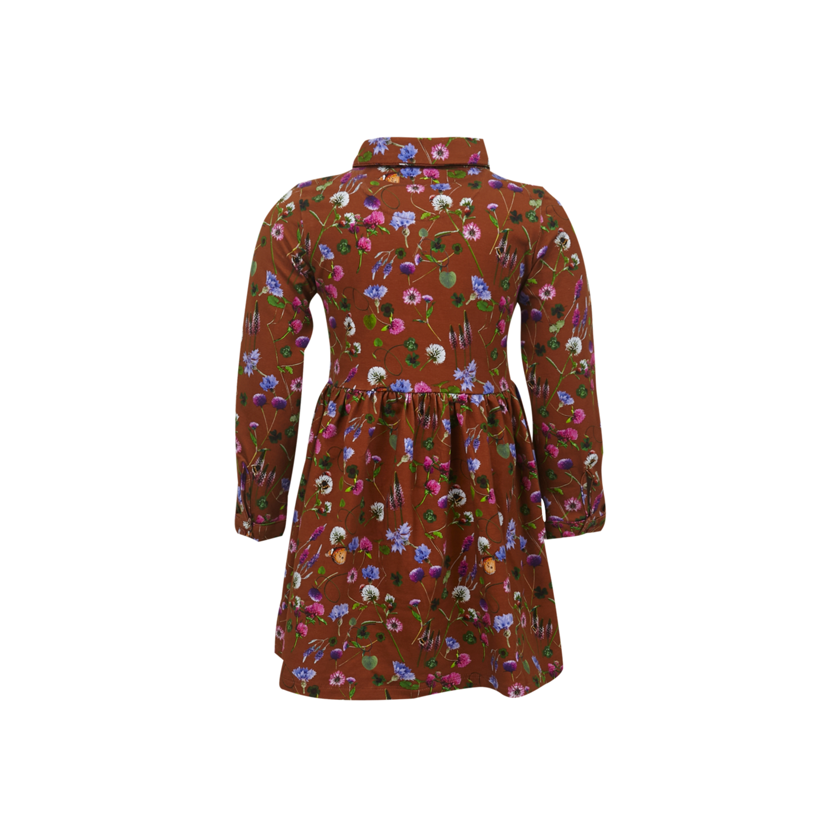 Someone Rok LENJA-SG-41-B Cognac