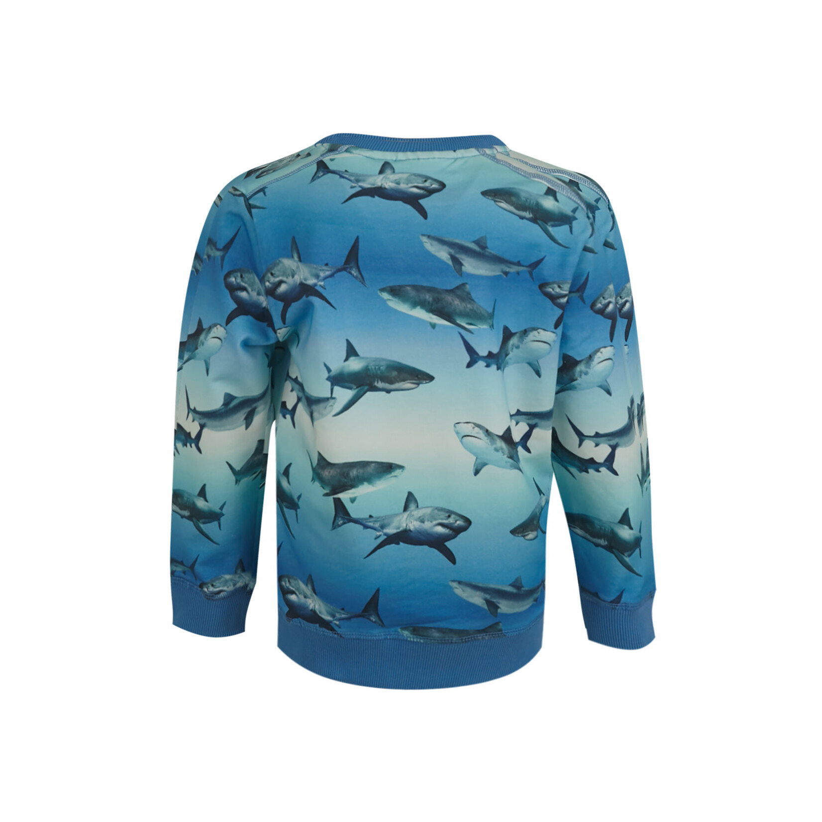 Someone SWEATER WALLY-SB-16-C BLUE