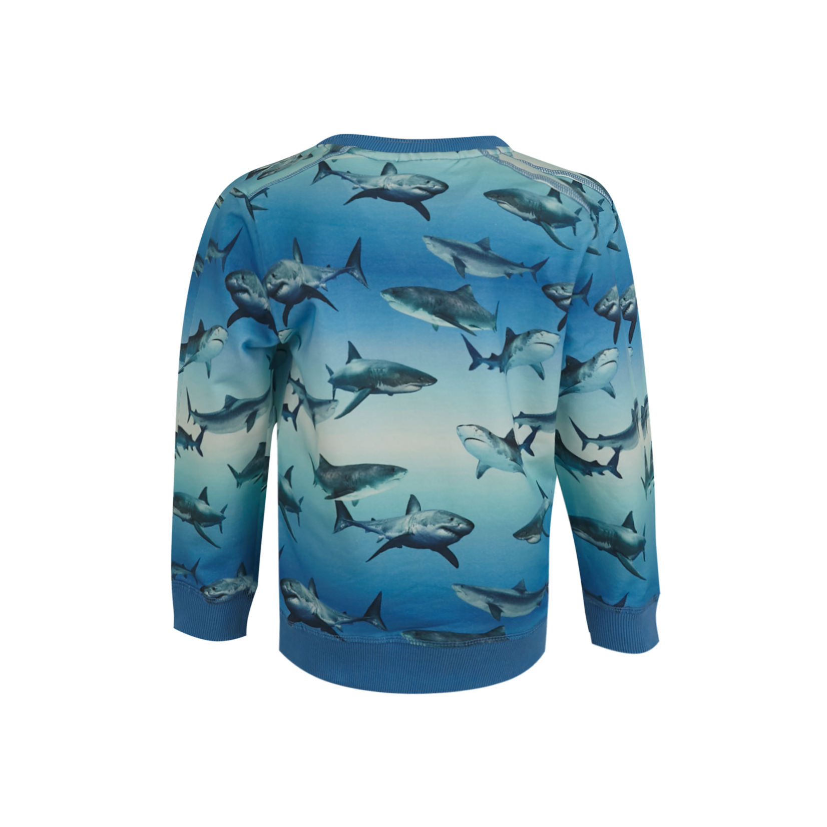 Someone SWEATER WALLY-SB-16-C BLUE