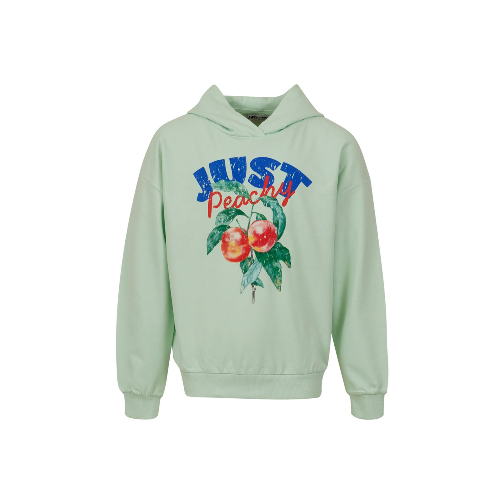 Someone SWEATER MARY-G-16-I LIGHT MINT