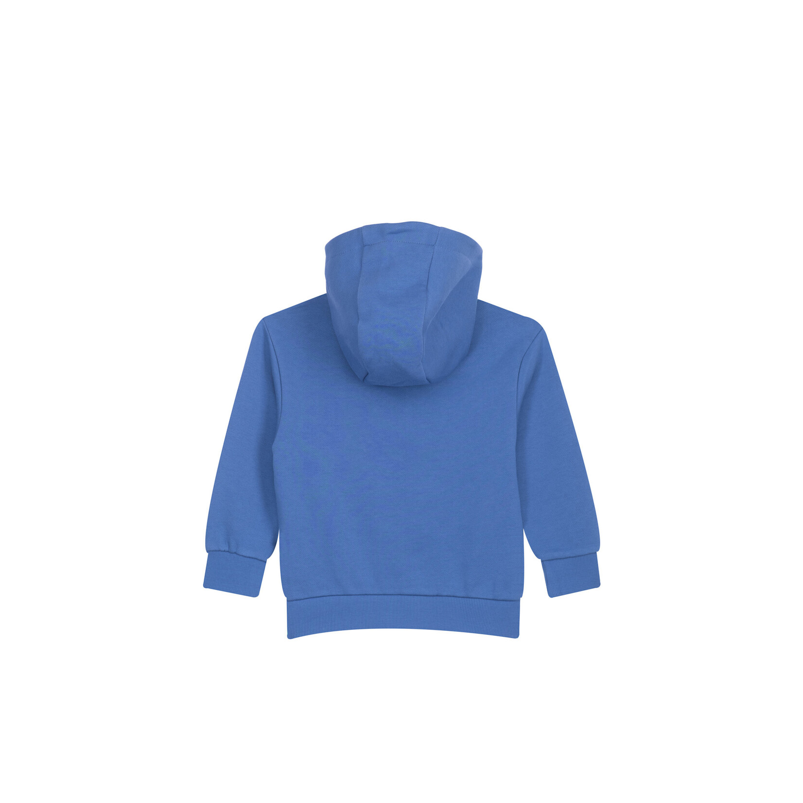 Someone TRUI WILLEM-SB-16-C BLUE