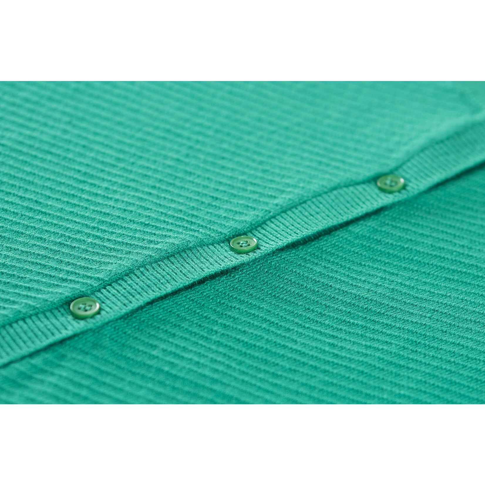 Someone TRUI LOTJE-SG-15-D GREEN