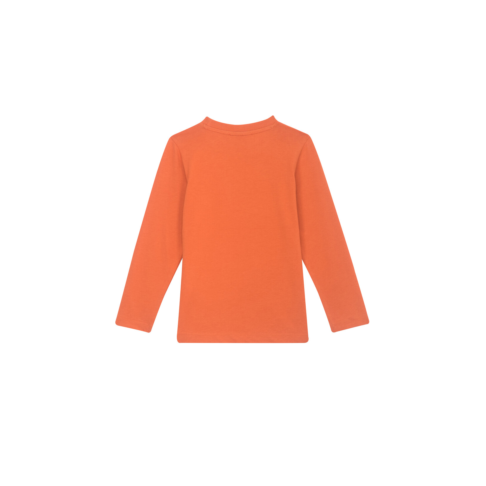 Someone TSHIRT LM WHALE-SB-03-C ORANGE