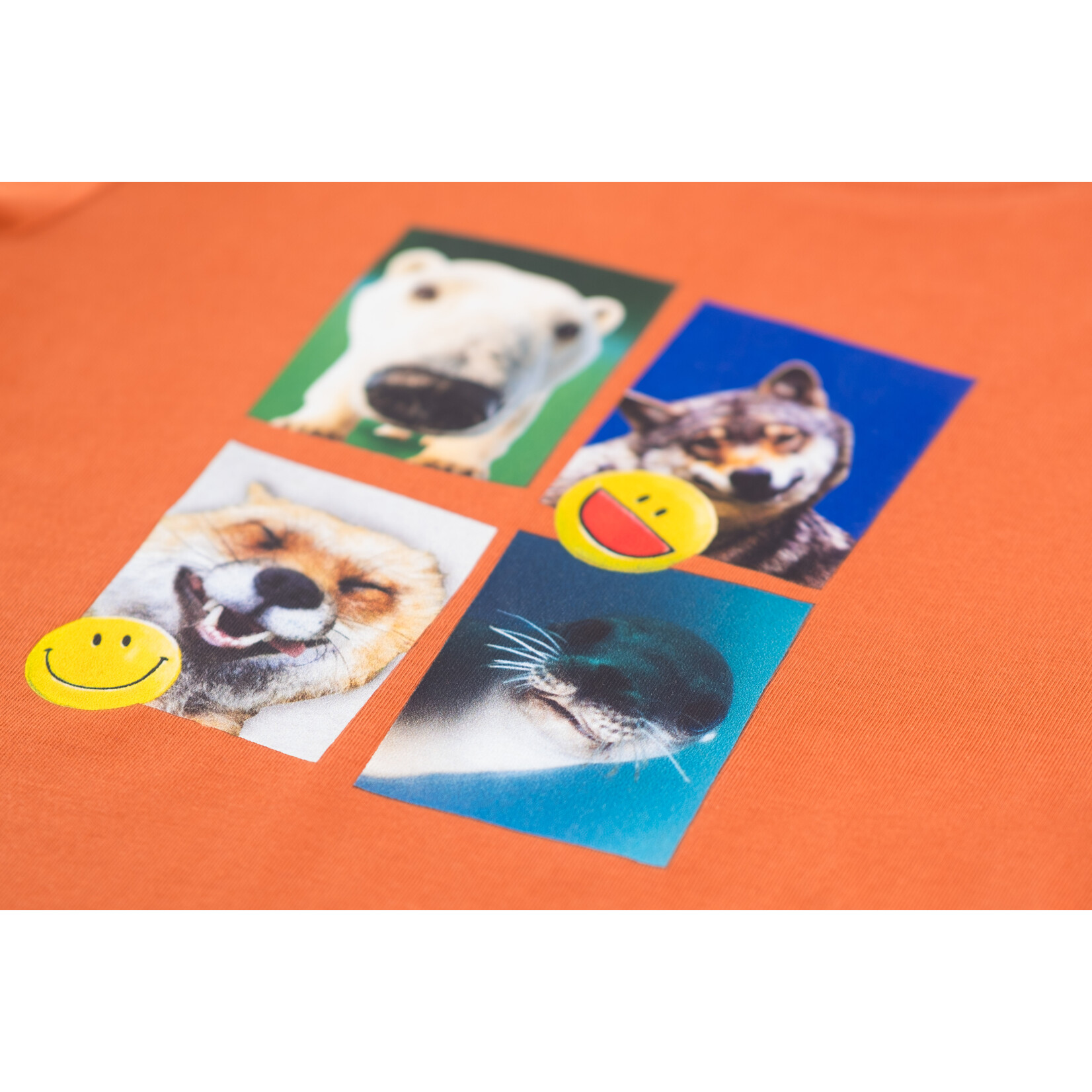 Someone TSHIRT LM WHALE-SB-03-C ORANGE