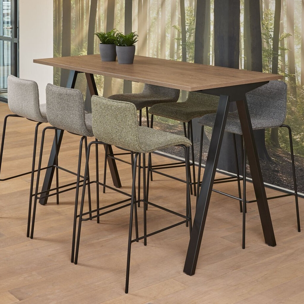 MN Vicenza Bartafel V Recht