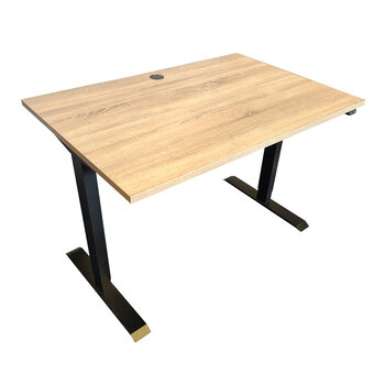 MN Basic Elektrisch Zit Sta Bureau