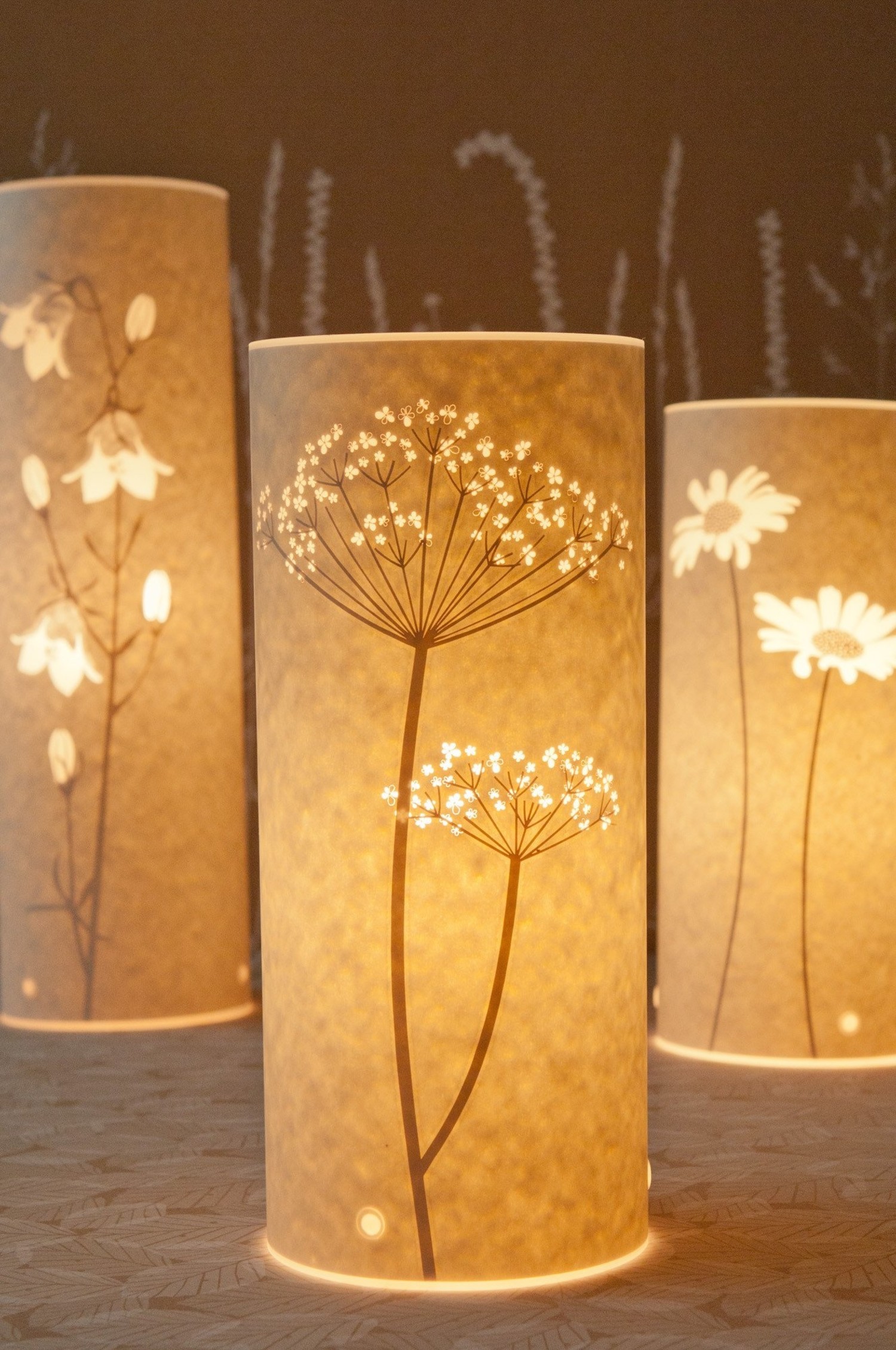 Hannah 2024 nunn lamps