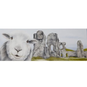 Lucy's Farm Sheep Selfie at Corfe Castle Mounted Print