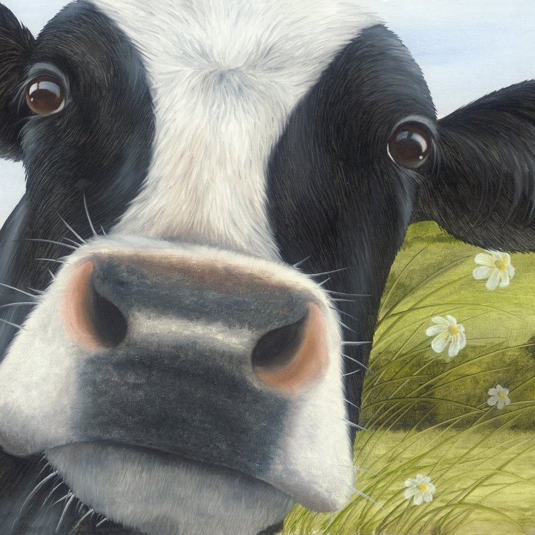 Lucy's Farm 'Moo Selfie at Corfe Castle' Framed Print