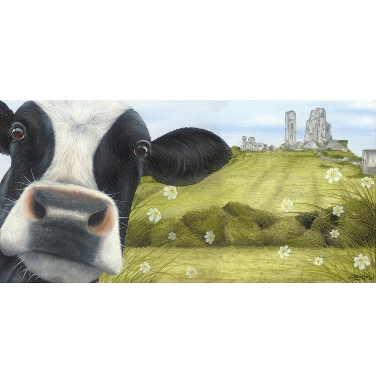Lucy's Farm Moo Selfie at Corfe Castle Large Rolled Print