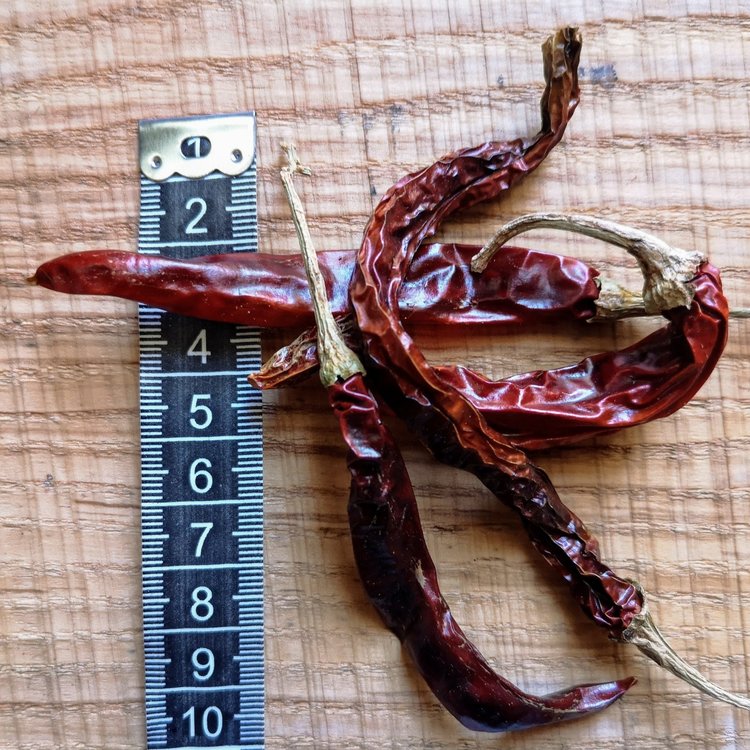 Seasons Green Dried Chilli