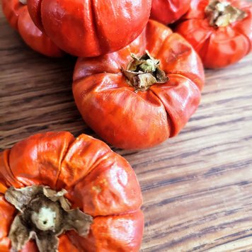 Seasons Green Mini Dried Pumpkin