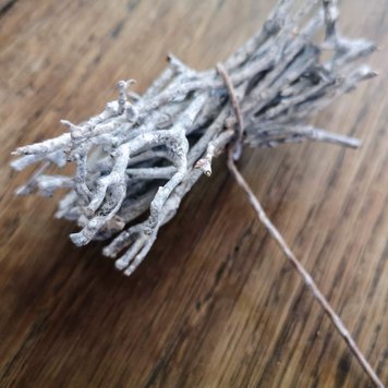 Seasons Green Twig Cluster on Wire