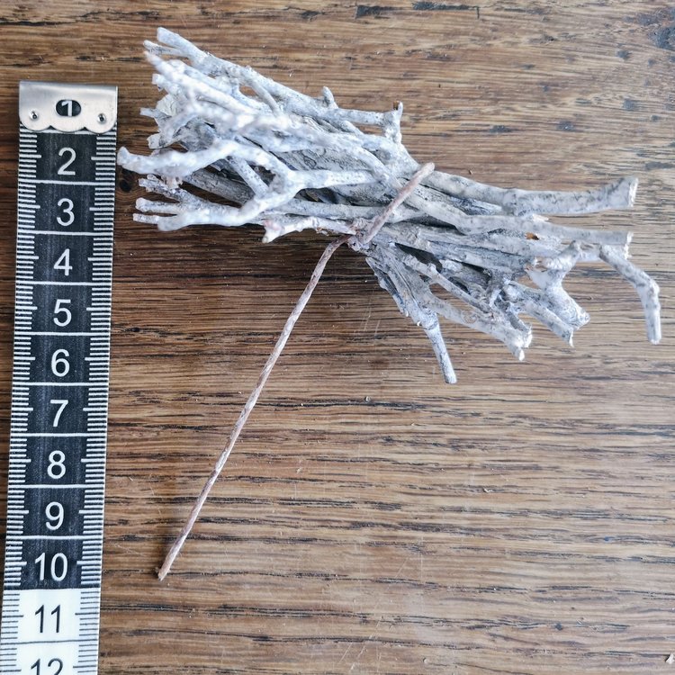 Seasons Green Twig Cluster on Wire