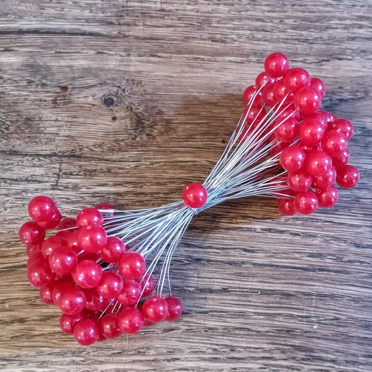 Seasons Green Red Berries on Wire