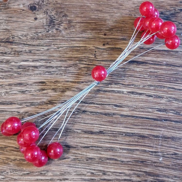 Seasons Green Red Berries on Wire