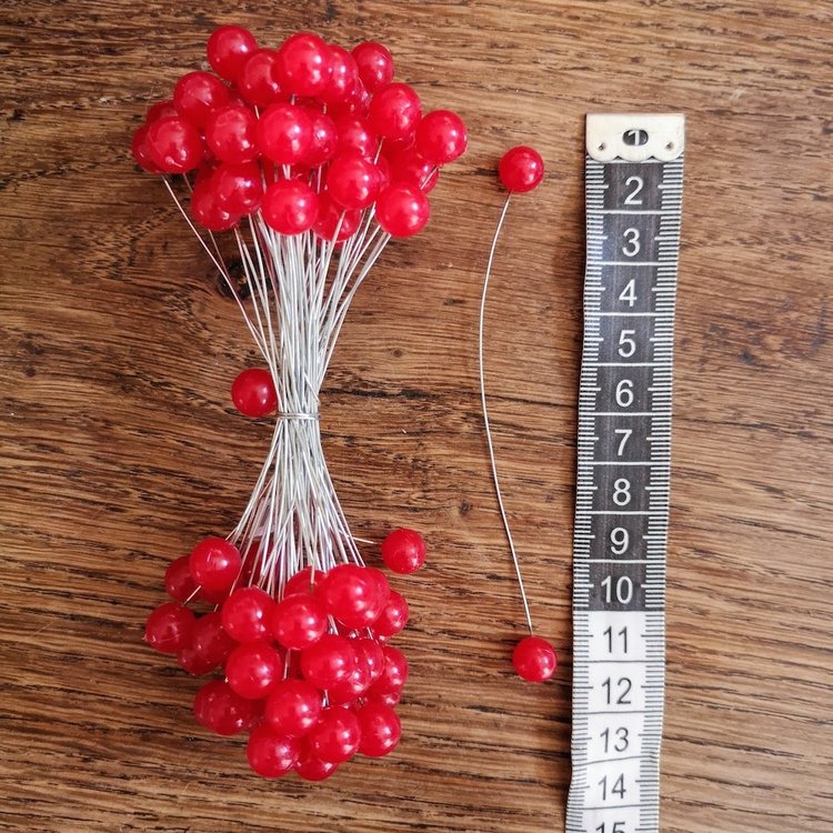 Seasons Green Red Berries on Wire