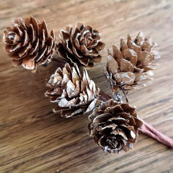 Seasons Green Pinecone Cluster