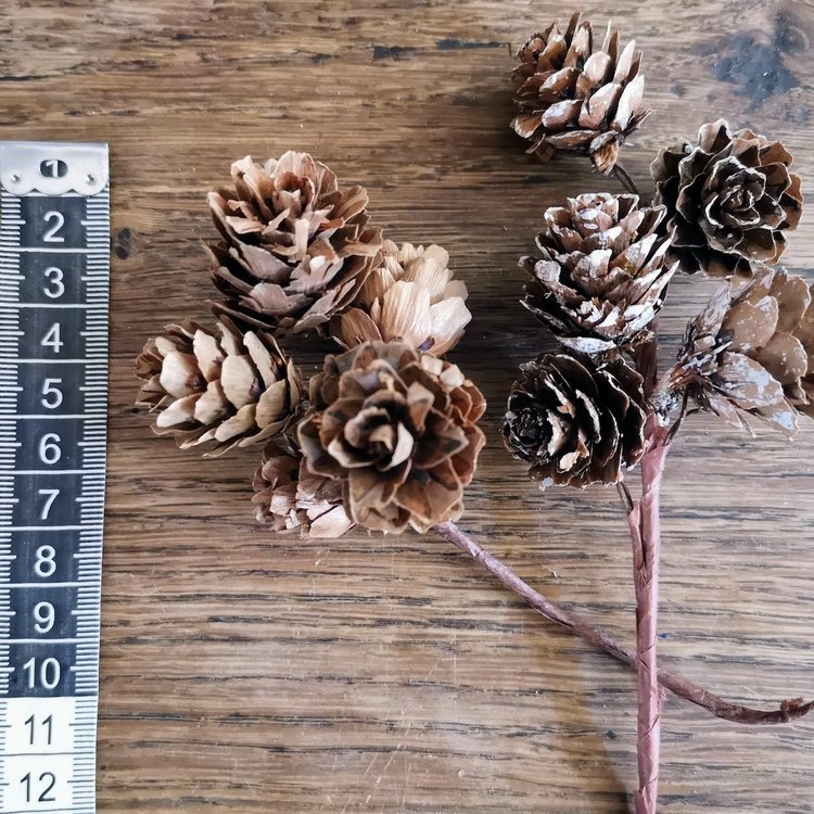 Seasons Green Pinecone Cluster
