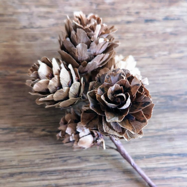Seasons Green Pinecone Cluster