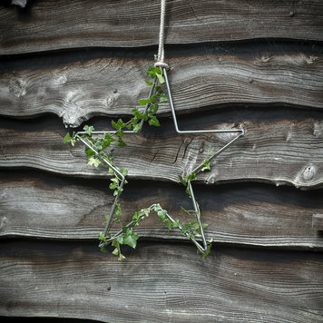 Garden Trading Metal Hanging / Standing 'Farringdon' Star