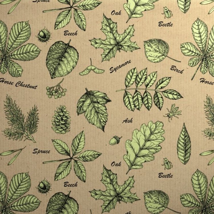 Seasons Green Gift Wrap Service - 'Patterned' Option