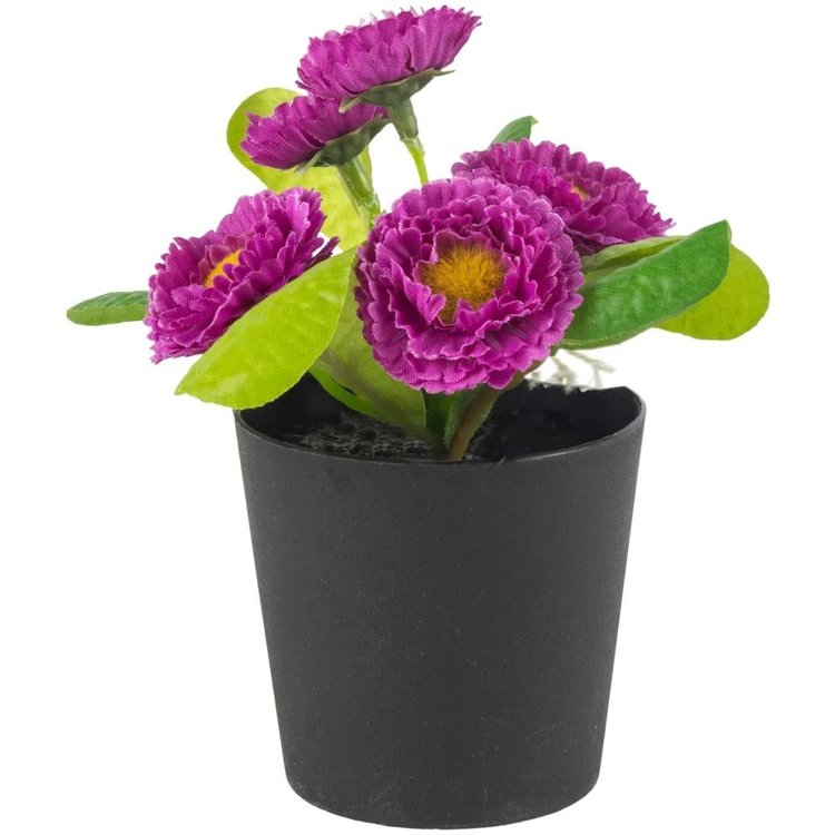Grand Illusions Faux 'Bellis Perennis' Daisy in Pot