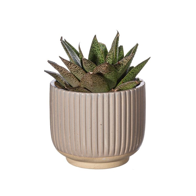 Sass & Belle Large Grooved Planter