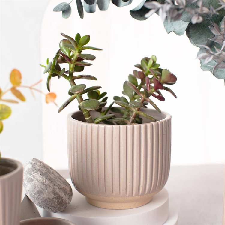 Sass & Belle Large Grooved Planter