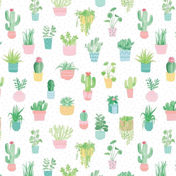 Sass & Belle Cactus Gift Wrap