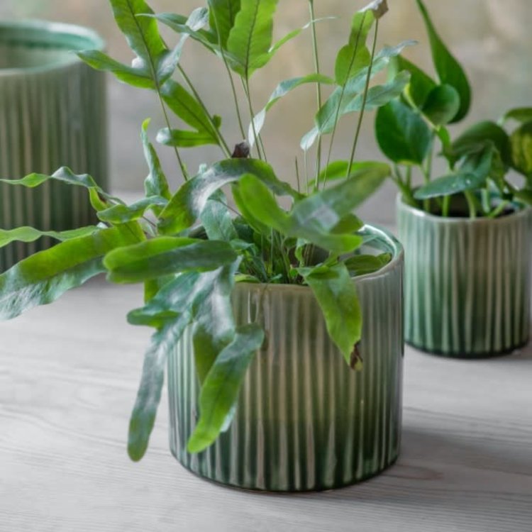 Garden Trading Ceramic Nettleton Pot