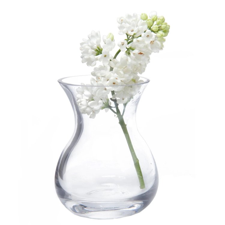 Chive Mini Clear Glass 'George' Vase